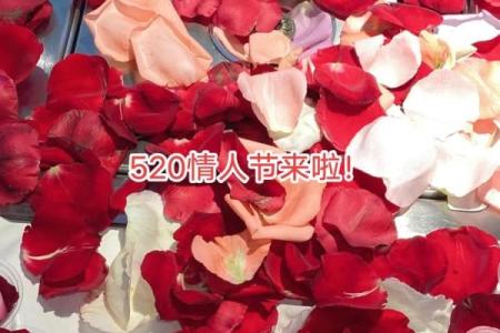 520，这些传统情人节能让你甜蜜翻倍