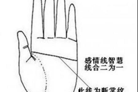 手相揭秘：感情线断裂暗示什么？揭秘断线背后的惊人秘密