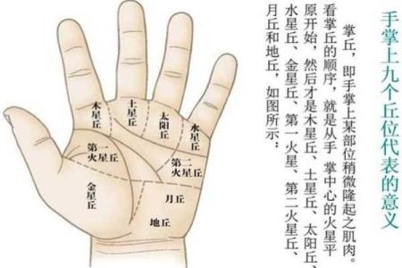 掌中事业线预示着你的成功人生，揭秘中指下的秘密力量