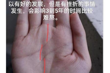 揭秘命运密码：你的事业线，藏着哪些财富人生秘密？