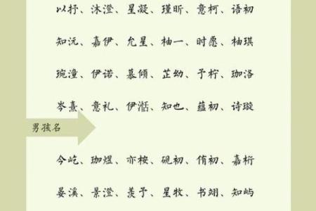 最受欢迎的宝宝名字大揭秘