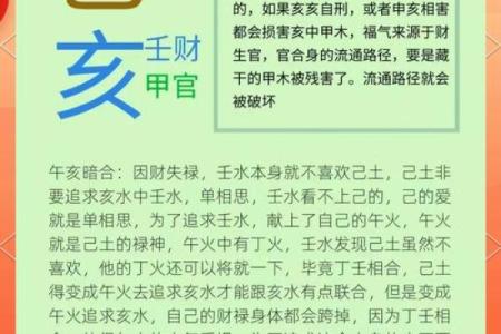 亥天干深度解析：让你真正理解八字命理的奥秘