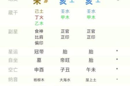 什么贞什么亨排盘揭秘：如何通过命盘预测人生运势