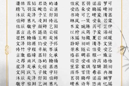 起名秘籍：用成语给孩子取个充满力量的名字
