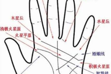 手相奥秘大揭秘：大拇指纹路揭示财运人生