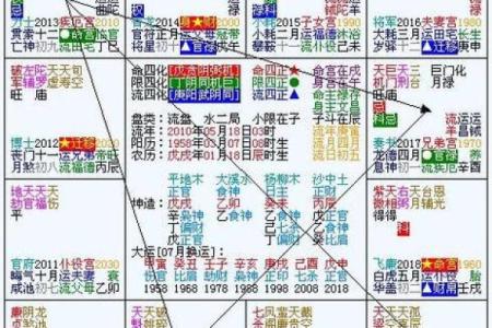 紫薇入命：揭秘神秘命运的终极奥秘