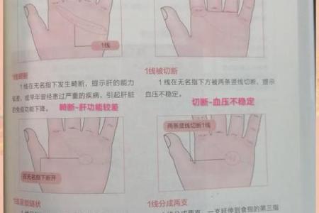 揭秘手相双重感情线：爱情与事业双丰收的秘密