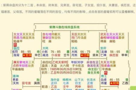 用紫微排盘揭开人生的神秘面纱，掌握命运的关键