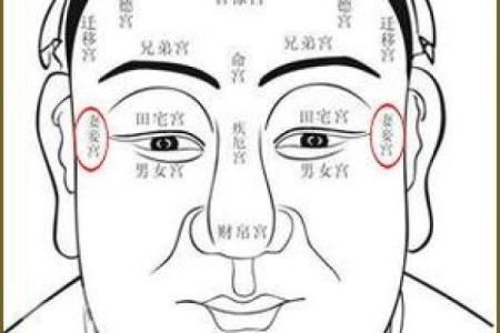 揭秘面相：破面相人神秘面纱背后的运势解析