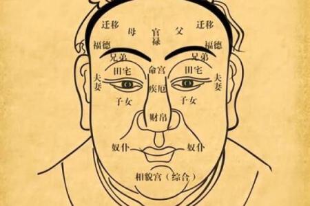 男人面相揭秘：五官间的运势密码
