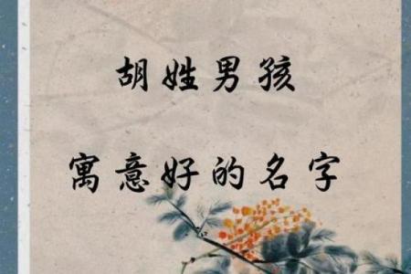 胡姓起名必看，这些名字有吉祥寓意
