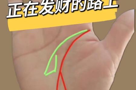 揭秘男性财运秘密：手相图解大全，助你财富翻倍