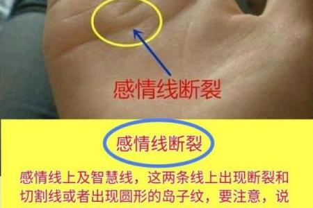 命运线织就情感线，揭秘手相中的命运密码
