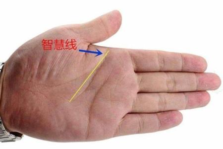 手相揭秘：智慧线弯垂，预示着哪些不为人知的运势秘密？