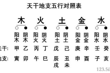 天干地支对照表解析，助你轻松理解五行与八字的奥秘