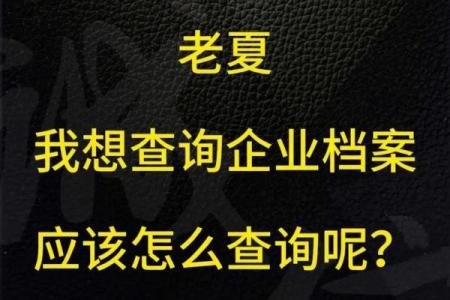 让公司起名更轻松：专业查询工具推荐