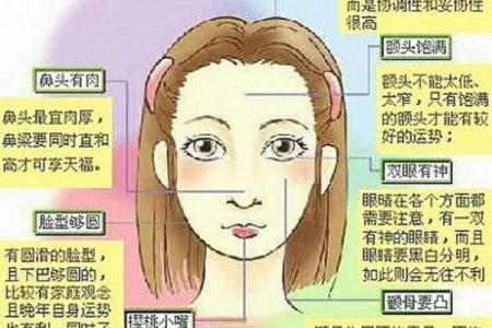 揭秘面相气运行：读懂五官，掌控运势