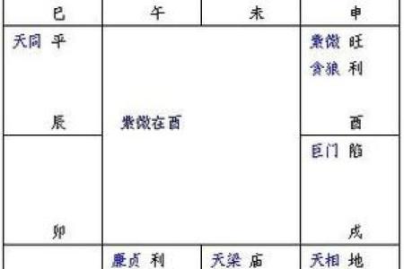 紫微排盘揭秘：一生运势走势全掌握，带你步步为赢