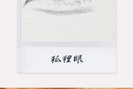 洞察命运：揭秘眼瞳与面相的神秘联系