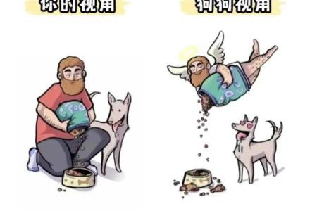狗狗视角揭秘：面相背后的秘密