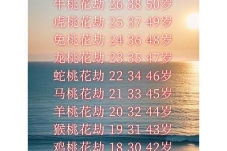 揭秘：命带桃花运，你的爱情运势如何？