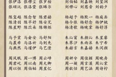 走近起名典，探索古老命名艺术与现代智慧的结合