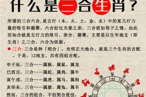 马蛇缘份：揭秘生肖配对中的奇妙组合