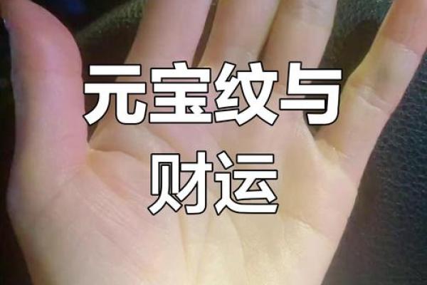 掌中藏金，富贵命图男：揭秘手纹中的财富密码