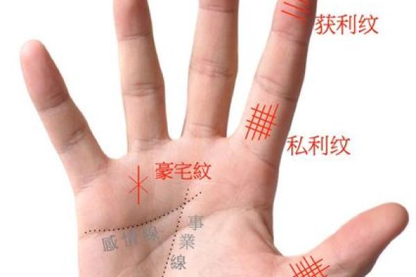 掌中藏金，富贵命图男：揭秘手纹中的财富密码