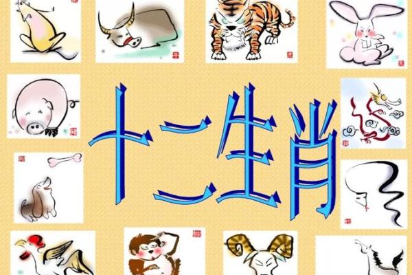 生肖书香：揭秘会读书的智慧生肖