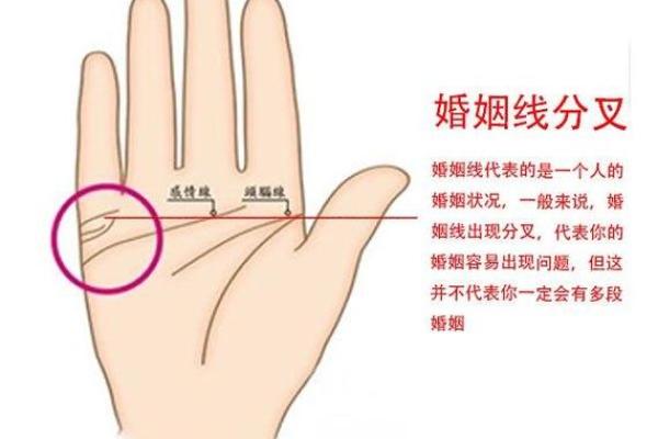 揭秘手相婚姻线：男性必看的手相婚姻线大全图解