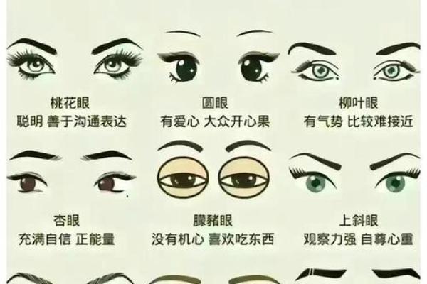 揭秘面相秘诀：一眼看穿命运，你的运势如何？