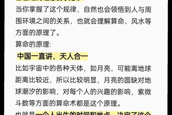 孟非命理分析：如何运用五行改变命运