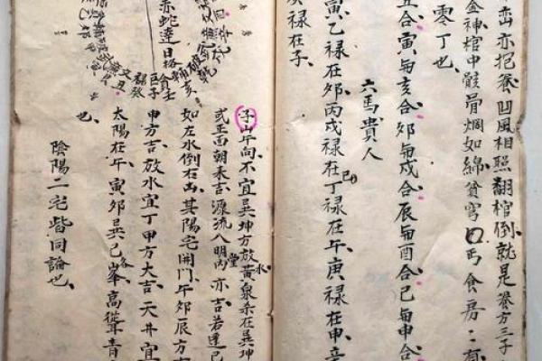 杨公风水二十四向揭秘：揭秘吉凶奥秘，助你趋吉避凶
