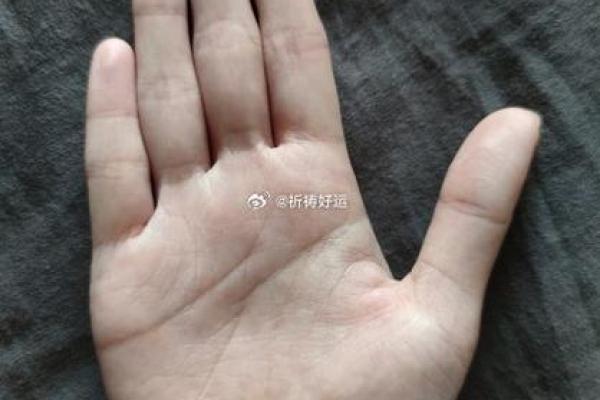揭秘手相奥秘：一招看透命运，让你的人生从此改写