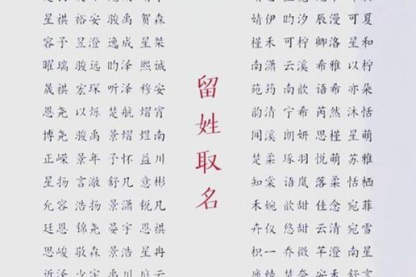 想要起个好名字？这些秘诀你必须掌握！