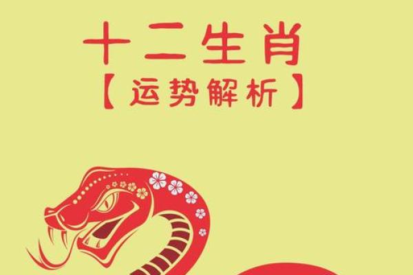 金兔送福，43岁属兔五行金命，财运亨通，爆款来袭