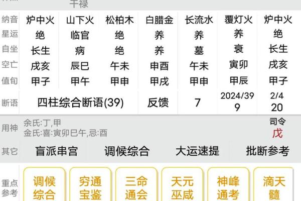 时家排盘软件：轻松解锁精准命运分析
