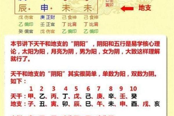 时家排盘软件：轻松解锁精准命运分析
