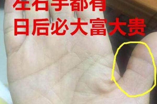 揭秘手相奥秘：男人手相大全图，一图掌握运势财运