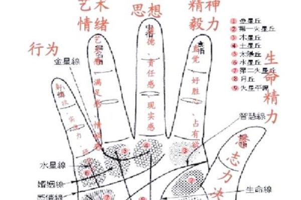 揭秘成功人士的手相密码：掌握财运、事业双丰收的秘诀