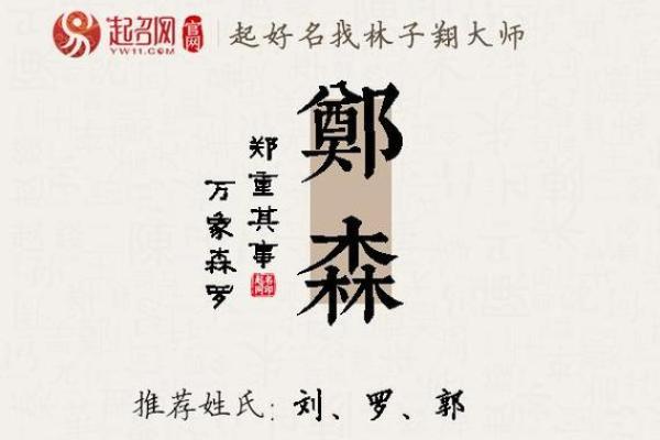 郑姓取名大全：最受欢迎的郑姓名字推荐