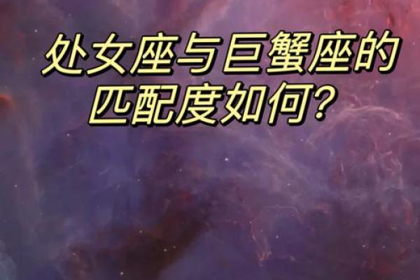 巨蟹座处女座情侣：揭秘神秘配对优势