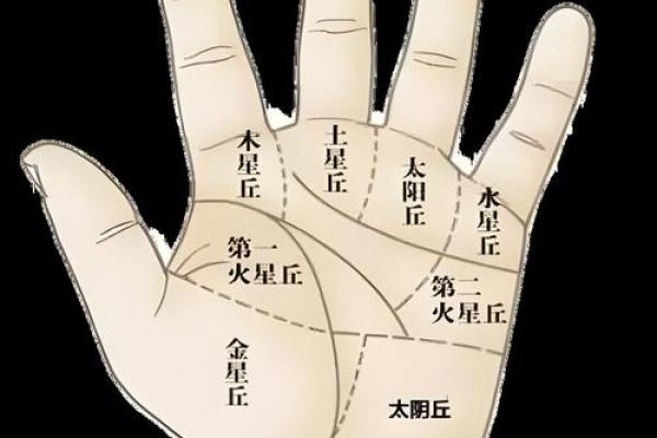 揭秘手相奥秘：必备手相图解大全，助你洞察命运与运势