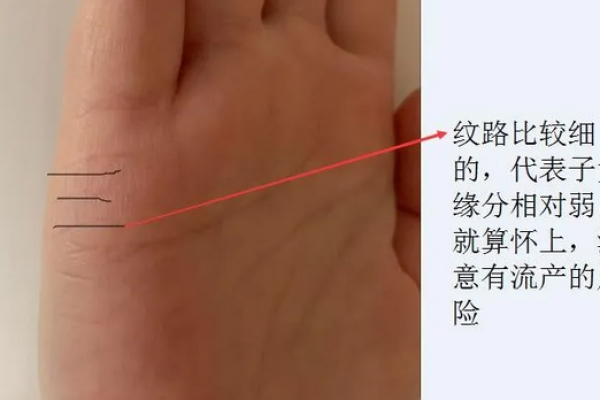手相揭秘：一眼看穿命中子女缘分，你的子女运势如何？