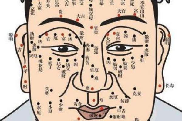 嘴尖财运旺，揭秘面相中的金口财相