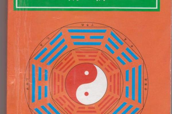 邵伟华手相秘籍：解锁命运之谜，掌握人生航向