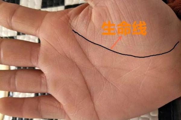 八字线对健康有何影响？不可不知！