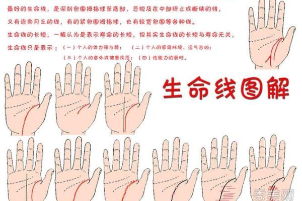 揭秘女性命运：手相图解大全，一招看透生子运势