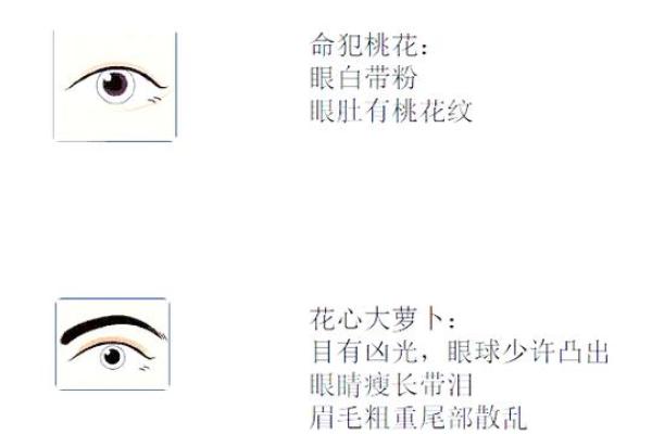 面相揭秘：那些年我们错过的失败面相特征